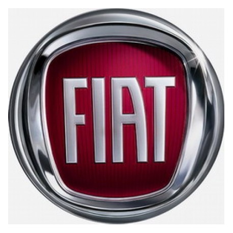 Manuale Fiat Ducato X290 per Camper